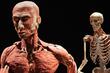 Devet činjenica o ljudskom tijelu koje bi vas mogle iznenaditi