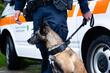 Švicarska: Policijski pas zaustavio dvojicu Kosovara osumnjičenih za krađu