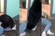 Geraščenko podijelio video u kojem ruski mladić lomi nogu prijatelju da izbjegne mobilizaciju