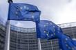 EU: ZSO se mora formirati bez odlaganja i postavljanja uslova