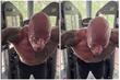 The Rock objavio video u kojem vježba okupan znojem, ljudi u nevjerici: Ovo ne može biti stvarno