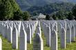 Ovo je konačna verzija Rezolucije o genocidu u Srebrenici o kojoj će se izjasniti Generalna skupština UN-a