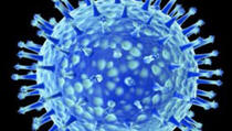 Naučnici pronašli način da iz virusa sakupljaju energiju