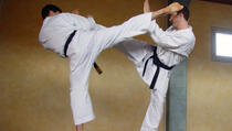 Mozak presudan za snagu karate udaraca, a ne mišići