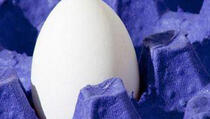 Proteinska bomba za doručak: Uz pomoć jaja možete smršati kao od šale