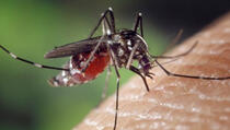 Evo kako na prirodne načine da se zaštitite od komaraca