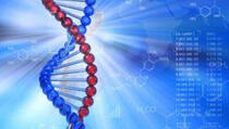 Tajne nasljeđivanja: Šta se krije u genima