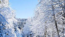 U Sloveniji ponovo pao snijeg