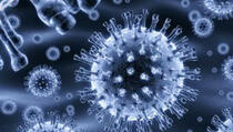 Novi mutirani HIV virus i još gora sida prijete čovječanstvu!