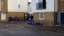 Komšije jedan drugom ostavljaju smeće pred vratima (VIDEO)