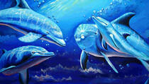 Delfini dozivaju jedan drugog po imenu