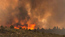 U Arizoni poginulo najmanje 19 vatrogasaca