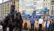 Jaše tri konja i 3.000 ovaca za Evropsku prijestolnicu kulture