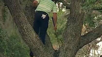 Španski golfer morao udarati lopticu s drveta
