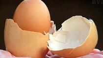 Kokoška snijela jaje u jajetu