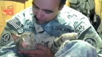 Kako su mačak i vojnik spasili jedan drugog