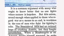 New York Times 1880. godine pisao o Bošnjacima