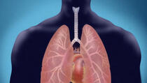 Najbolji prirodni lijekovi za čišćenje pluća