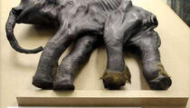 Za izumiranje mamuta kriva je klima, a ne čovjek