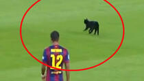 Pogledajte kako je crna mačka nasmijala cijeli Camp Nou!