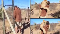Ovakav susret čovjeka i lava još niste vidjeli!