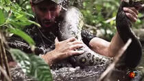 (VIDEO) Amerikanac kog je progutala anakonda: Pogledajte kako je to izgledalo!
