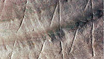 Ljudski zapis star pola miliona godina