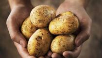 Sa granice Crne Gore vraćene 23 tone krompira s Kosova