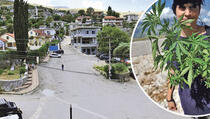 Kako je uništeno najveće narko-selo na Balkanu: Za mafiju proizvodili 900 tona droge...