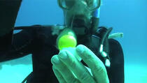 VIDEO: Pogledajte šta se dogodi kada razbijete jaje u moru! 