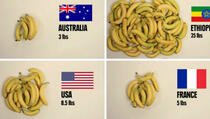 Koliko hrane možete kupiti u različitim zemljama svijeta za pet dolara (VIDEO) 