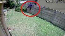 Pogledajte ko je potjerao lopova iz vrta!