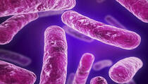 Superbakterije u Evropi svake godine ubiju 33.000 ljudi