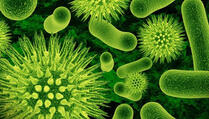ALARMANTNO: Svijetom se širi bakterija od koje nema lijeka