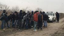 Na granici sa Mađarskom uhvaćeno 443 lica