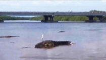 VIDEO: Krokodil uhvatio sedmogodišnjaka za glavu i odvukao u vodu 
