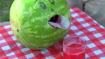 VIDEO: Nevjerovatan trik sa lubenicom, bušilicom i žicom 