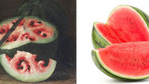 Kako je lubenica izgledala prije 4 vijeka, a kako danas?
