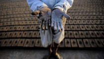 Muškarci u Pakistanu rade od jutra do mraka za pet dolara (FOTO)