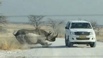 Trenutak u kojem se nosorog zaleće u automobil pun turista! (VIDEO)