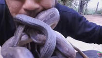 Stavio je ČETIRI zmije u USTA, ali to nije SVE (VIDEO)