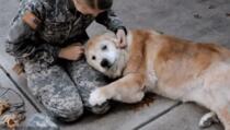 Kada stariji pas zaplače od sreće jer mu se vratila vlasnica (VIDEO)