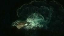 Google Earth "otkrio" morsko čudovište od 120 metara (VIDEO)