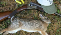 Vrbnica: Ubio zeca, pobjegao i zaboravio pušku