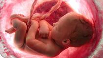 Ovako izgleda 9 mjeseci bebinog života u materici (VIDEO)