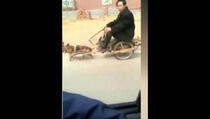 U Kini nije lako biti pas (VIDEO)