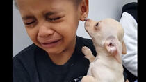 Dječak dobio psića i od sreće nije mogao prestati plakati (VIDEO)