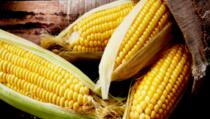 Da li ste znali ovih 9 stvari o kukuruzu?
