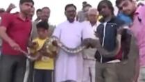 Selfie sa zmijom: Pogledajte šta je uradio piton dug dva metra (VIDEO)