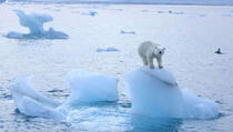 Stravični podaci: Arktik najtopliji od 1900. godine